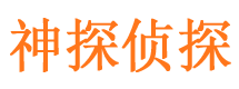 泽库侦探公司